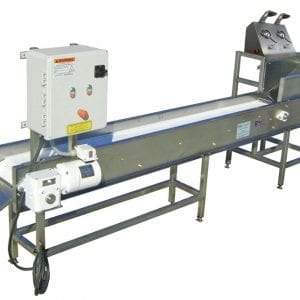 Broccoli Floretter Sorting Conveyor & Stand