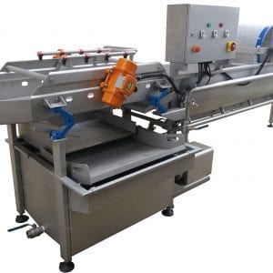 Rotary 2020 Wash – Lettuce and Vegetables
