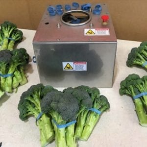 Broccoli Rubber-Bander & Trimmer