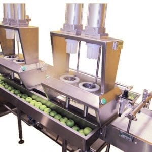 Dual Air Apple & Onion Wedger