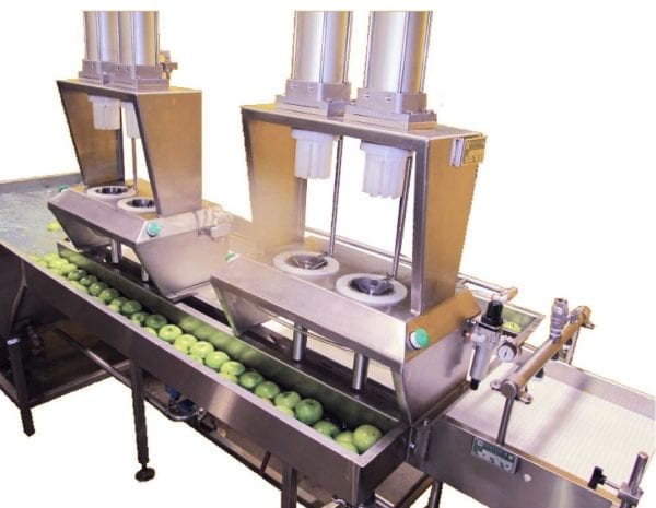 Dual Air Apple & Onion Wedger