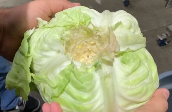 Electric Cabbage Corer - Image 2