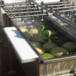 Melon & Fruit Washer