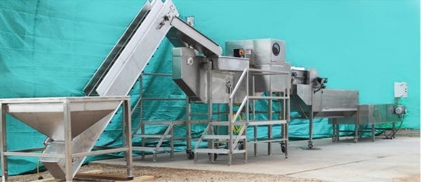 Onion Top & Tail Processor & Complete Onion Line - Image 2