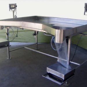 Pack Table w/ Digital Scales